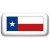 Texas Flag